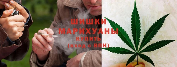 тгк Липки