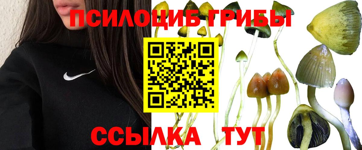 Лангепас  Галлюциногенные грибы ЛСД  Вход с VPN 